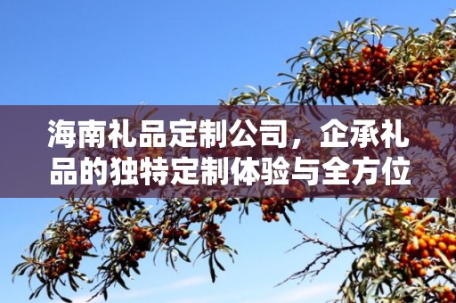海南礼品定制公司，企承礼品的独特定制体验与全方位服务